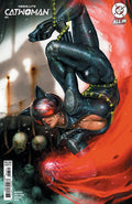Absolute Catwoman #3 CVR B