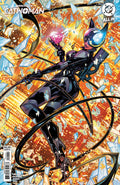Absolute Catwoman #2 CVR B