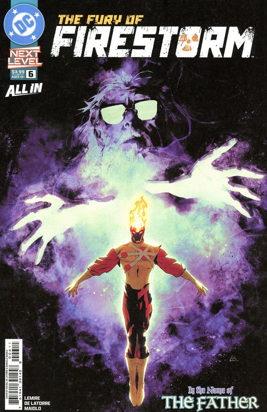 The Fury of Firestorm #6 CVR A