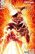 The Fury of Firestorm #6 CVR B