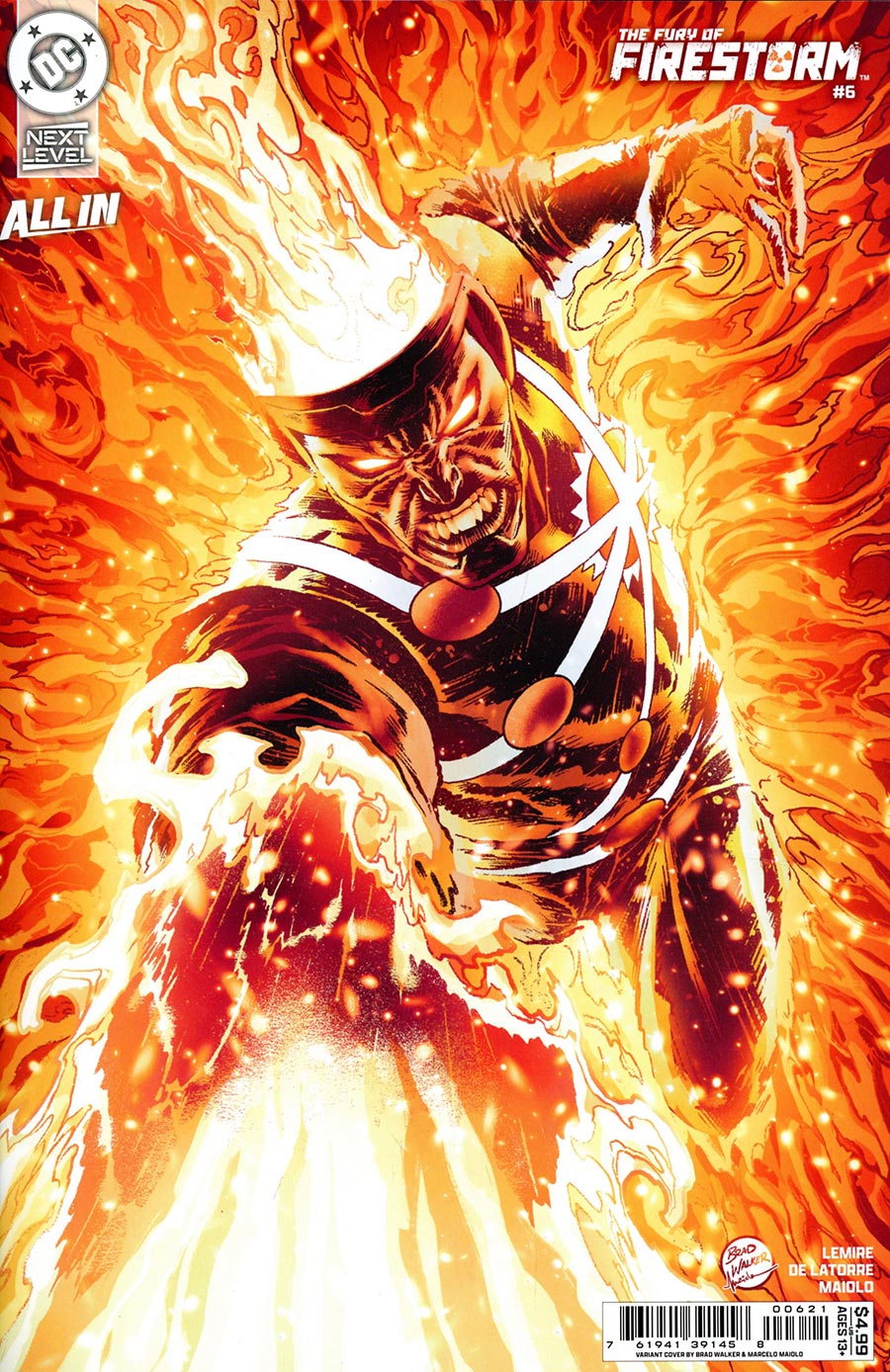 The Fury of Firestorm #6 CVR B