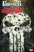 Punisher Vs The Amazing Spider-Man #2 CVR C