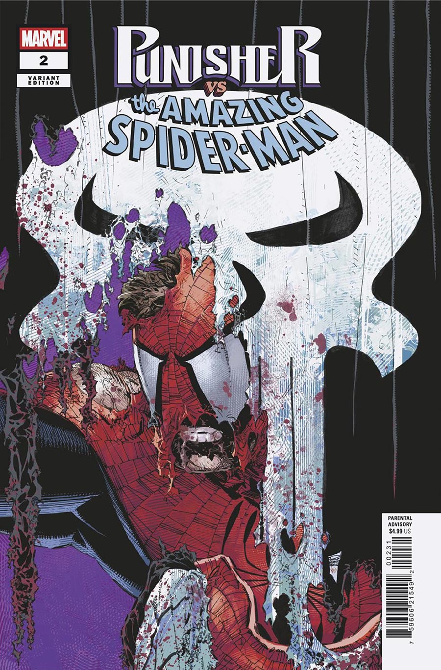Punisher Vs The Amazing Spider-Man #2 CVR D